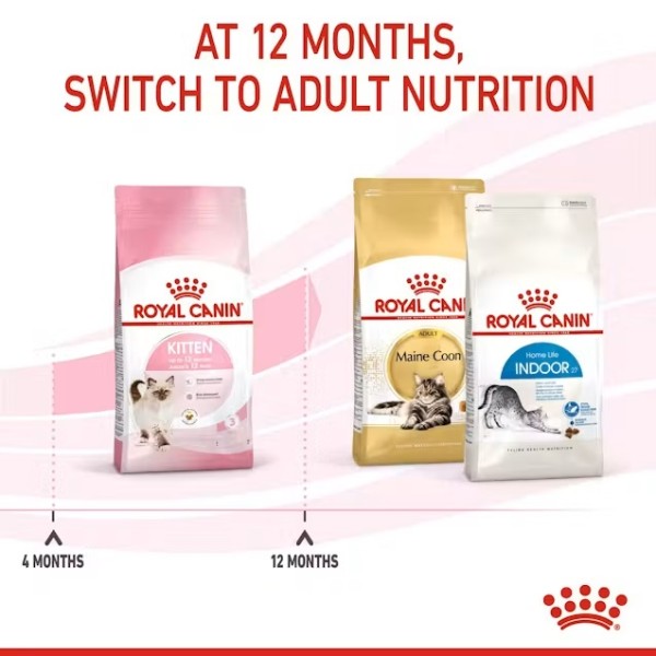 Royal Canin Kitten - Пълноценна суха храна за подрастващи котенца до 12 месеца